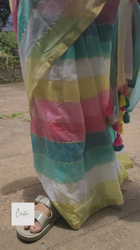 Rainbow Saree